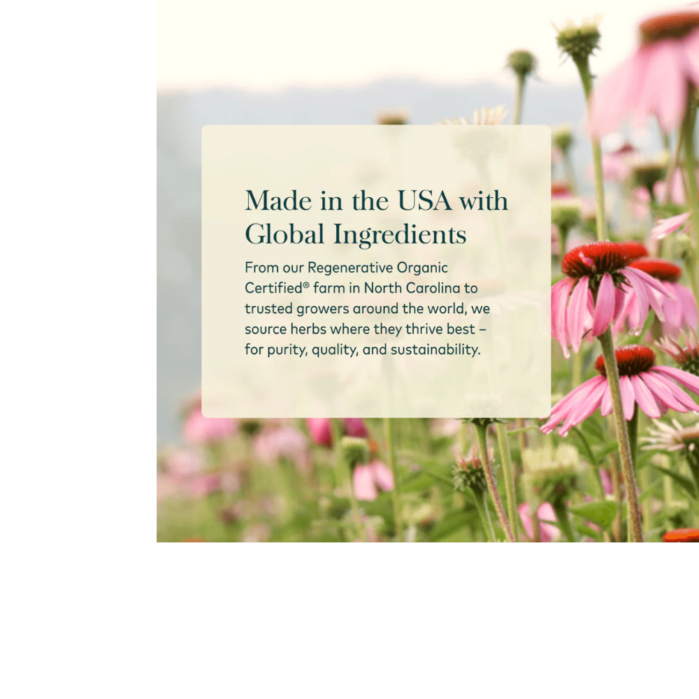Black Seed Oil