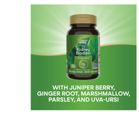 Thumbnail for Kidney Bladder Premium Blend
