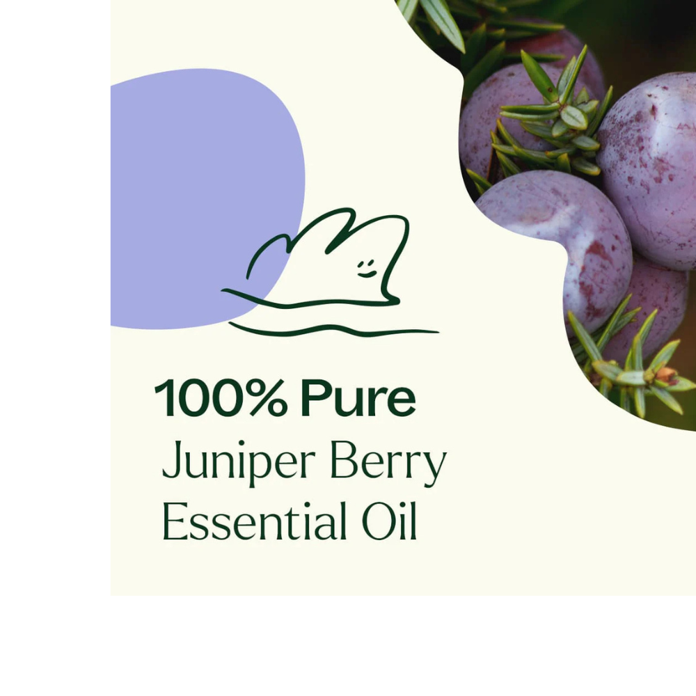 JUNIPER BERRY ESSENTIAL OIL
