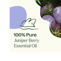 Thumbnail for JUNIPER BERRY ESSENTIAL OIL