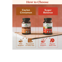 Thumbnail for Sugar Balance Capsules – Organic Blood Sugar Support Supplement
