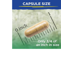 Thumbnail for Vital LiverPURE 2-Part, 14-Day Kit
