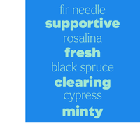 Thumbnail for Roll-on prediluido de aceite esencial Sniffle Stopper