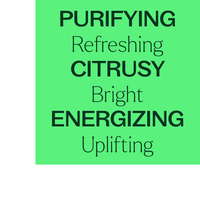 Thumbnail for LIME STEAM DISTILLED ESSENTIAL OIL