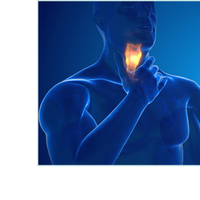 Thumbnail for Cough & Throat Syrup, Medical Grade Manuka Honey, MGO 600
