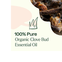 Thumbnail for ORGANIC CLOVE BUD ESSENTIAL OIL