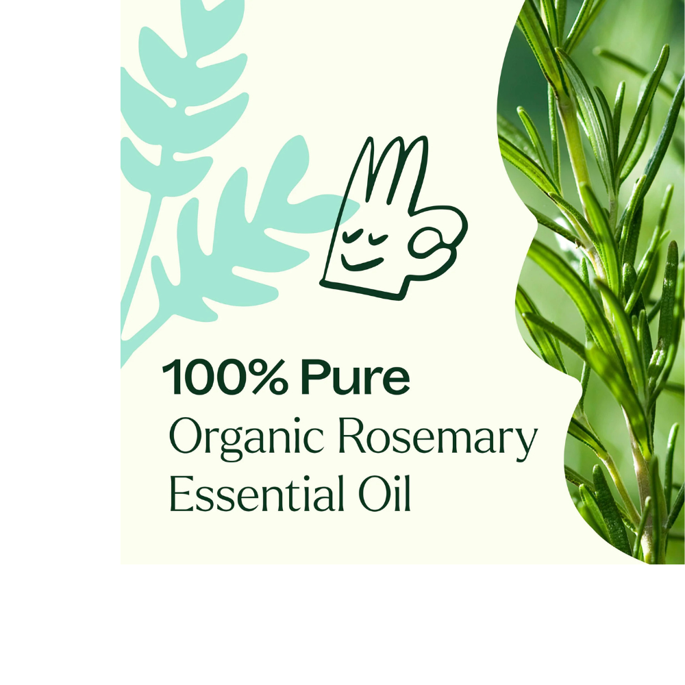 ACEITE ESENCIAL DE ROMERO ORGÁNICO 1.8 CINEOL