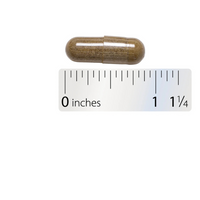 Thumbnail for Ginkgo Premium Extract