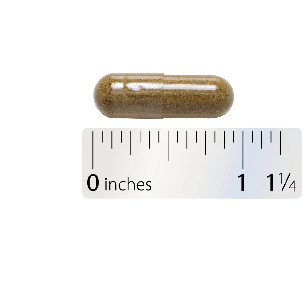 Kidney Bladder Premium Blend
