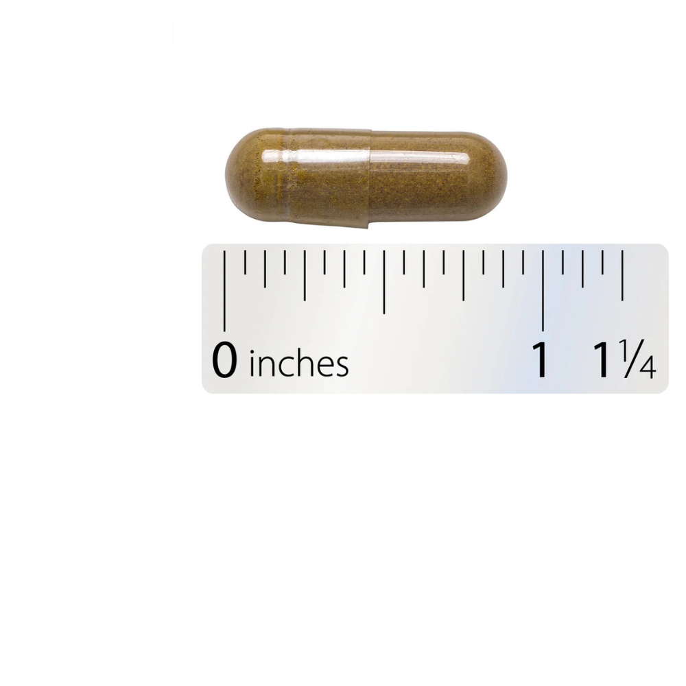 Goldenseal Root