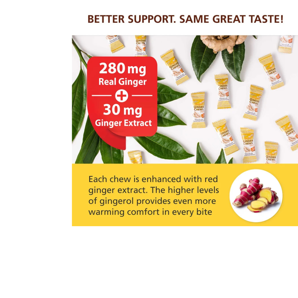 MASTICABLES DE JENGIBRE ORIGINAL PLUS