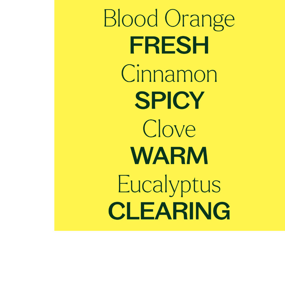Germ Fighter Carpet Refresher
