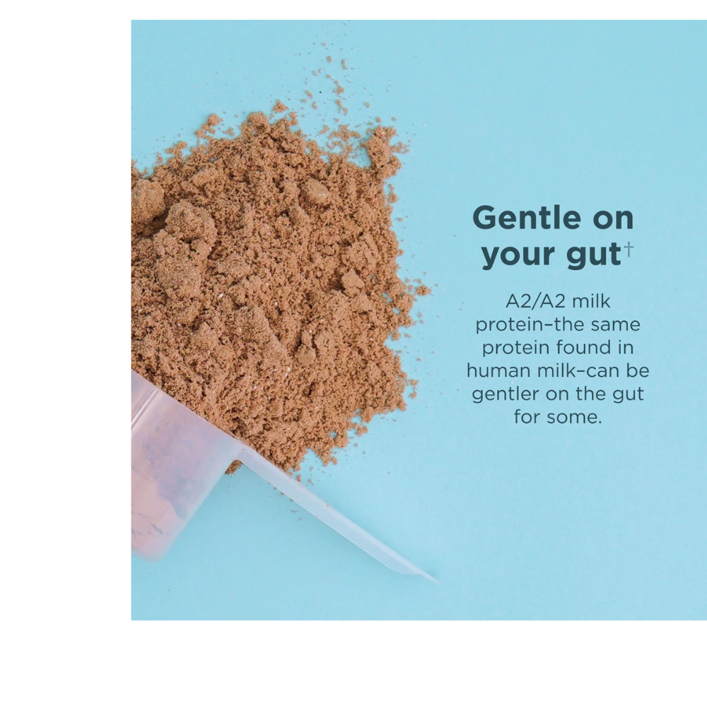WHEY PROTEIN