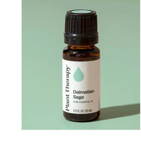 Thumbnail for Dalmatian Sage Essential Oil