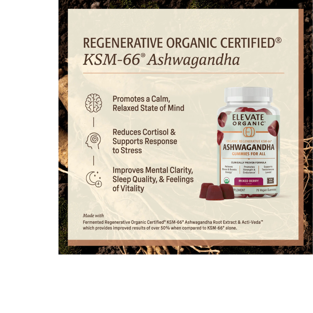 Ashwagandha Gummies - 25 Servings