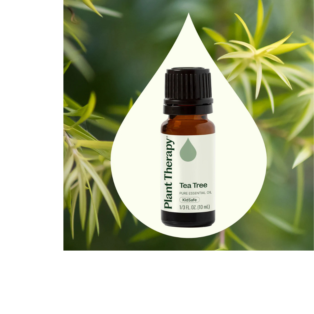 TEA TREE ESSENTIAL OIL