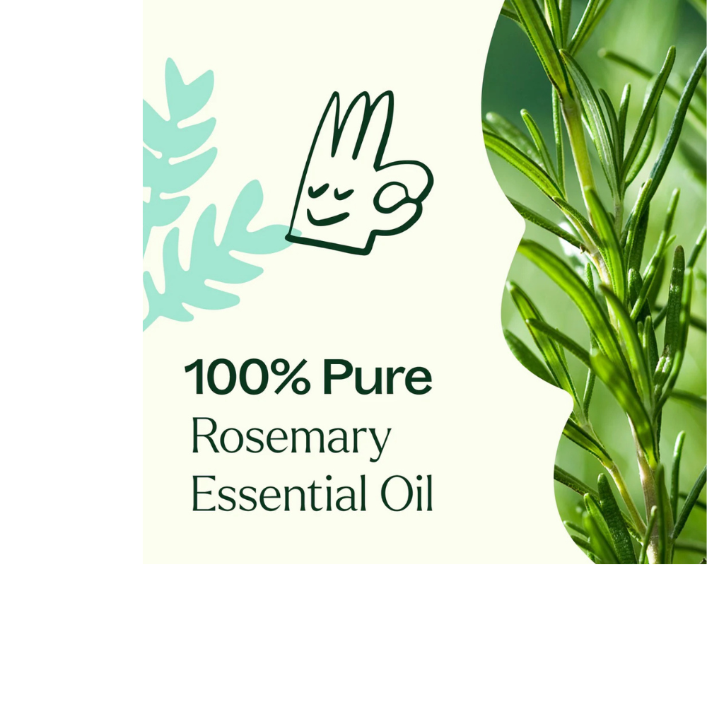 ROSEMARY 1,8-CINEOLE ESSENTIAL OIL