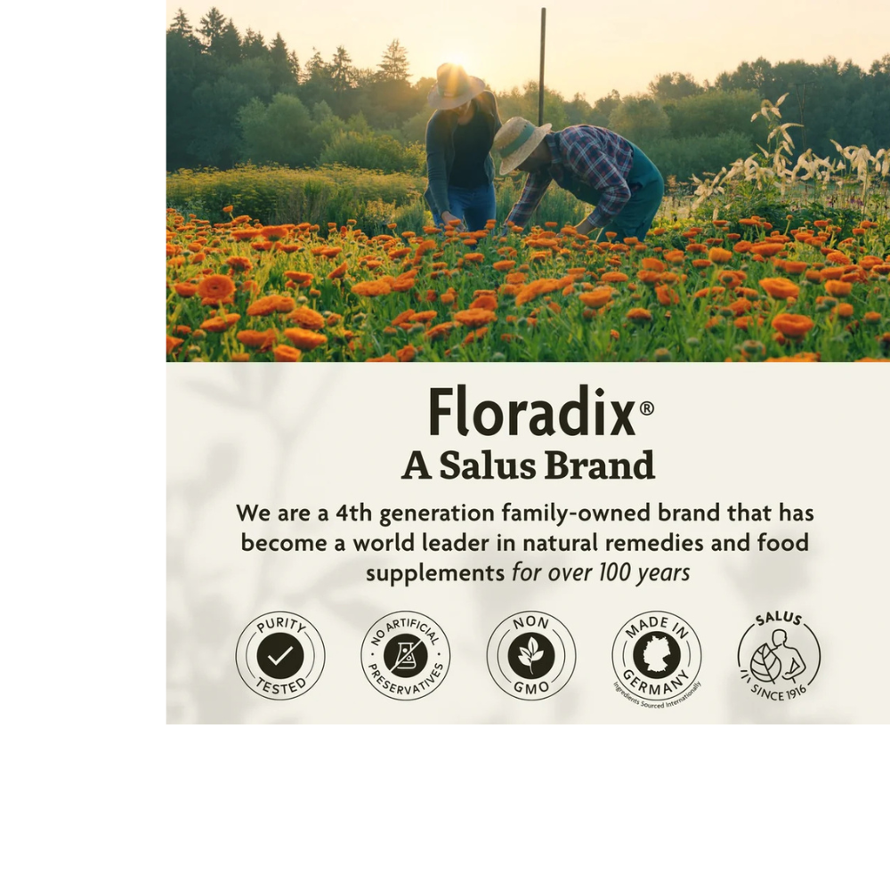 Floradix Iron + Herbs Liquid Herbal Supplement