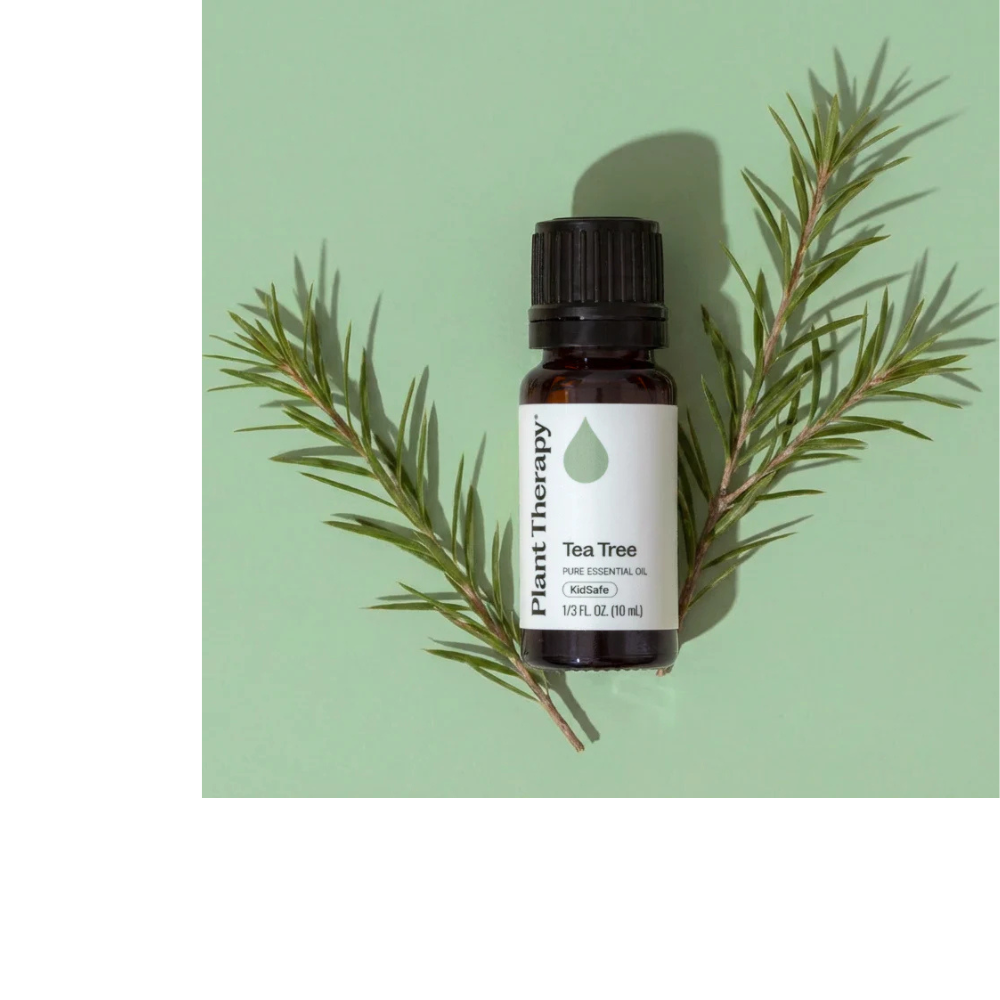 TEA TREE ESSENTIAL OIL