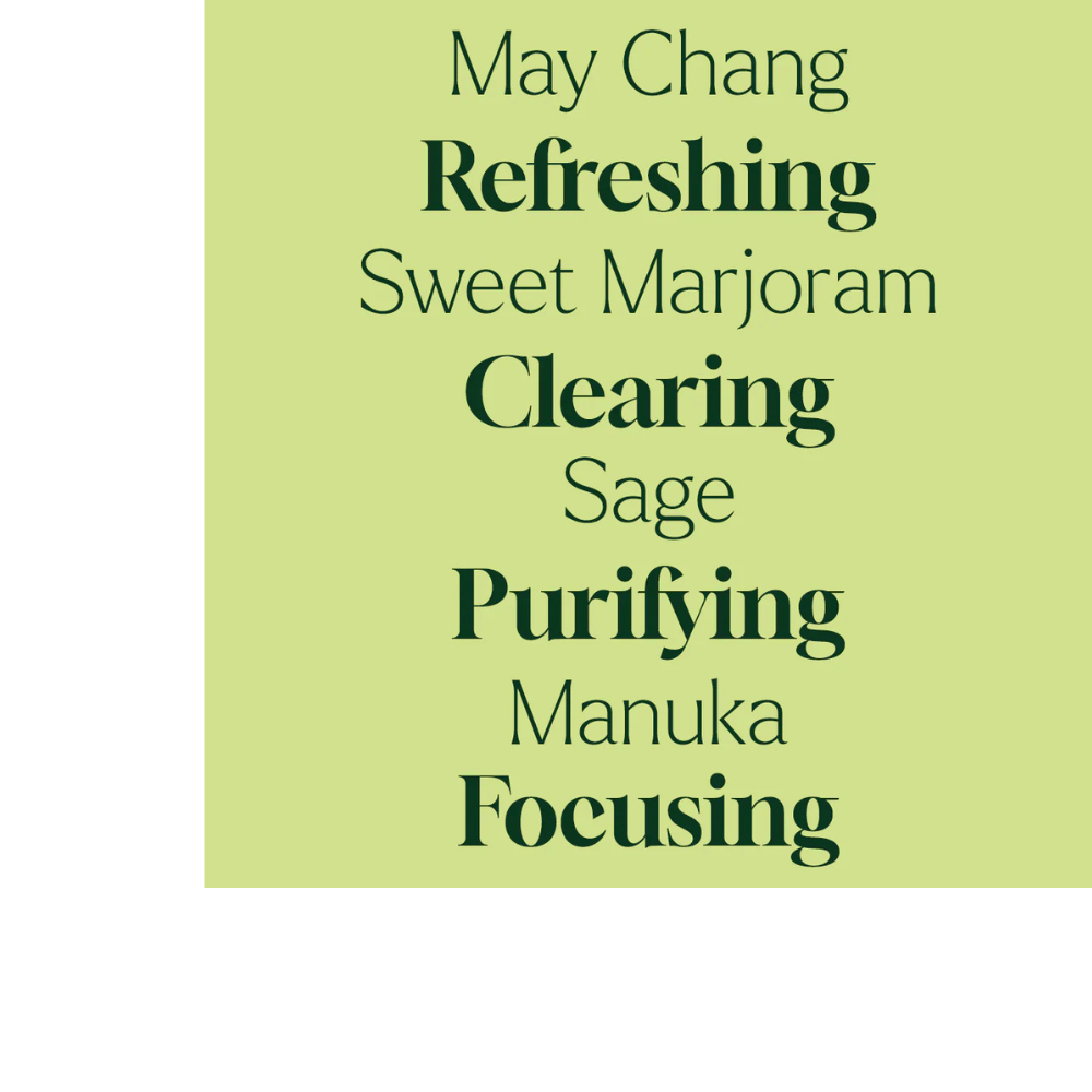 HERBAL BOOST MULTI-SURFACE CLEANER CONCENTRATE