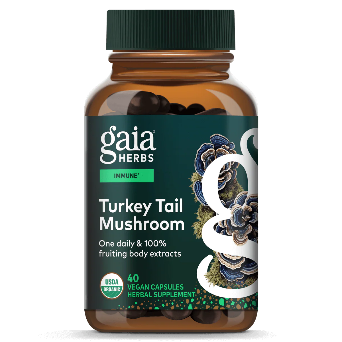 TURKEY TAIL MUSHROOM