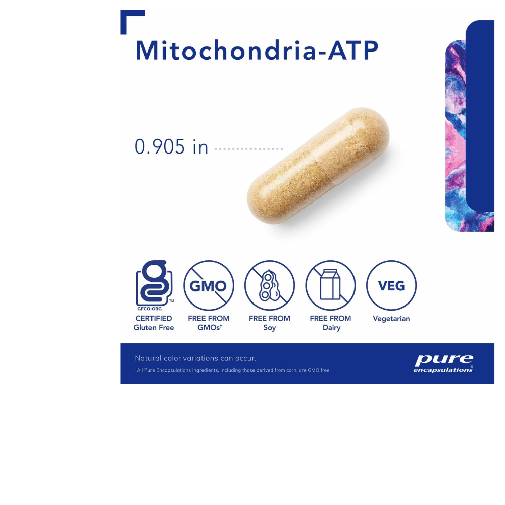 Mitocondrias-ATP