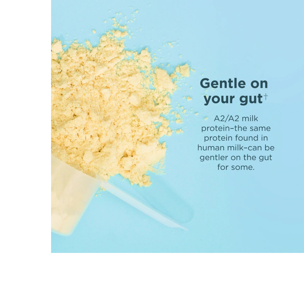 Whey Protein + Fat Loss Blend