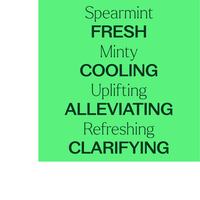 Thumbnail for SPEARMINT ESSENTIAL OIL