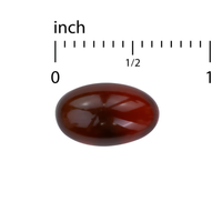 Thumbnail for BACTERIL