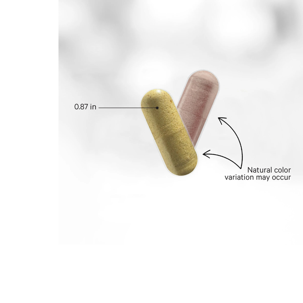 SBO Probiotic+ 50 Billion CFUs