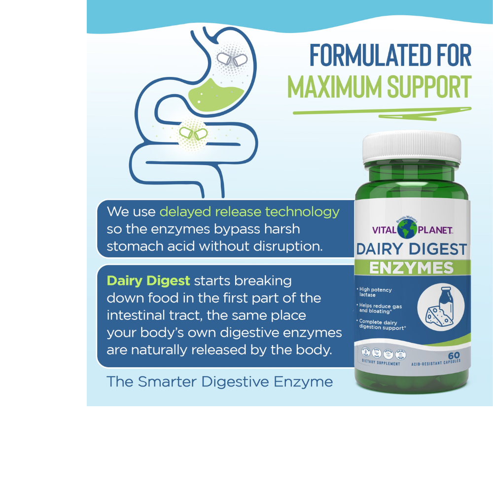 Dairy Digest - Targeted Enzyme Supplement