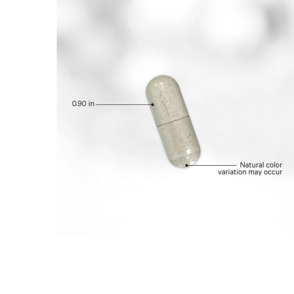 INTESTINO PERMEABLE PLUS