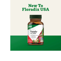 Thumbnail for Floradix Iron + Herbs Phyto-Caps