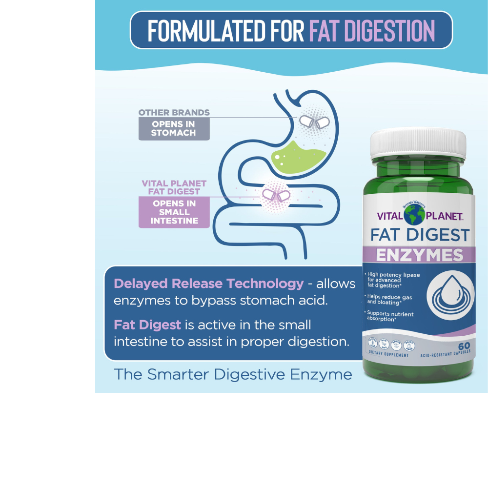 Fat Digest - Targeted Enzyme Supplement