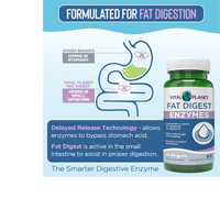 Thumbnail for Fat Digest - Targeted Enzyme Supplement