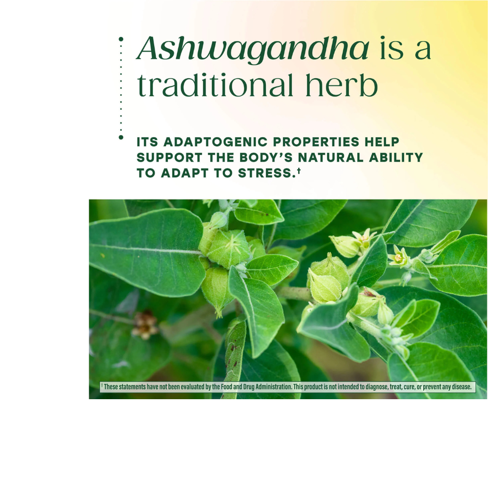 ASHWAGANDHA GUMMIES ZERO SUGAR