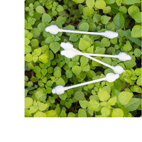Thumbnail for ORGANIC BABY COTTON SWABS