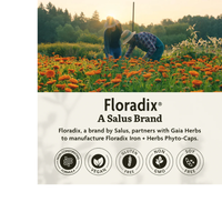 Thumbnail for Floradix Iron + Herbs Phyto-Caps