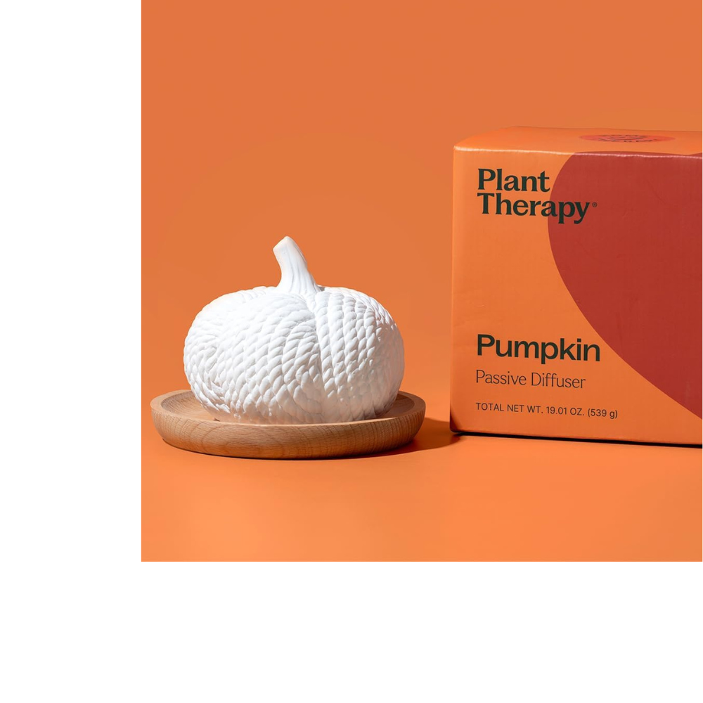 DIFUSOR PASIVO DE CALABAZA