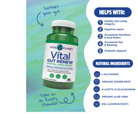 Thumbnail for Vital GUT RENEW - Leaky Gut Repair