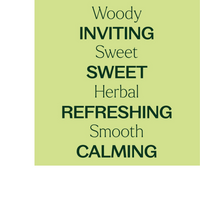 Thumbnail for AMBIENTADOR SAGEWOOD EMBER