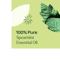 Thumbnail for SPEARMINT ESSENTIAL OIL