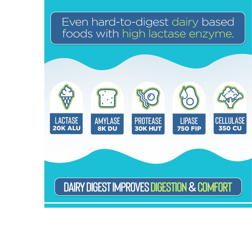 Dairy Digest - Targeted Enzyme Supplement