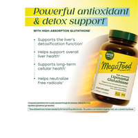 Thumbnail for High Absorption Liposomal Glutathione