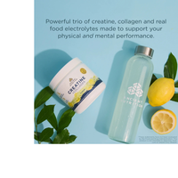 Thumbnail for Creatine + Collagen + Electrolytes - Lemon Flavor