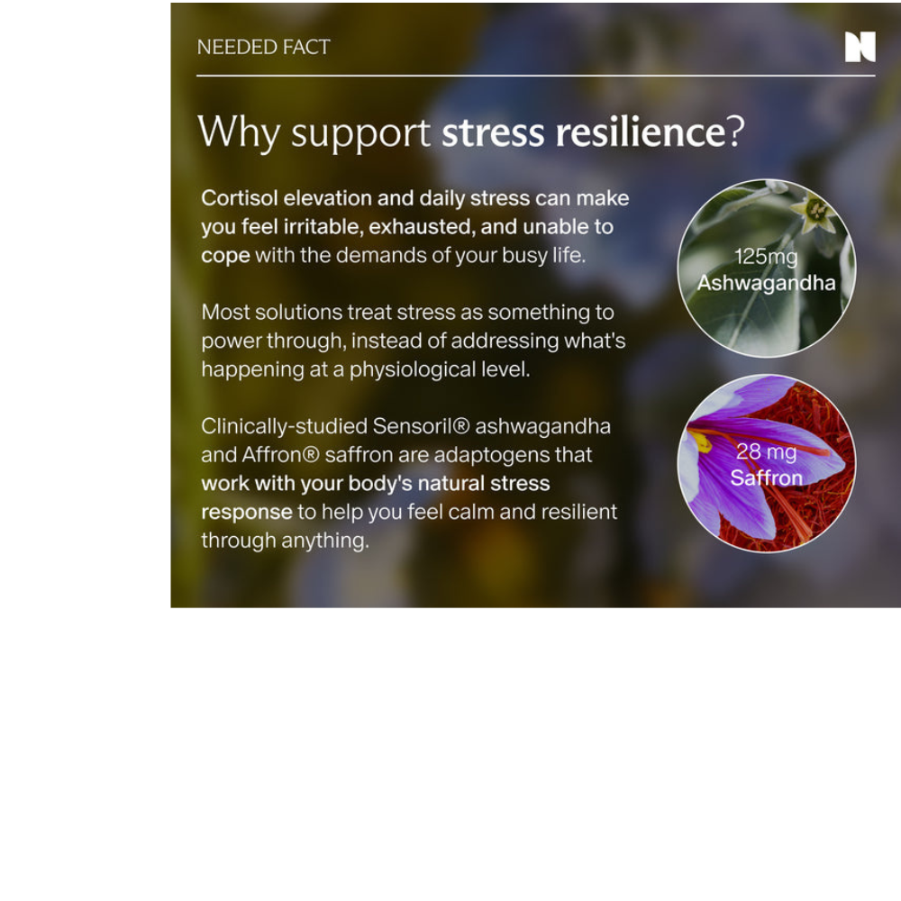 STRESS SUPPORT