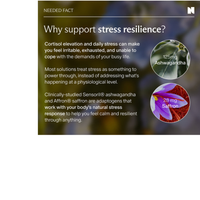 Thumbnail for STRESS SUPPORT