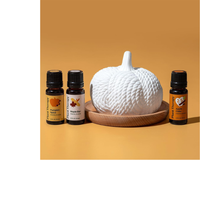 Thumbnail for DIFUSOR PASIVO DE CALABAZA