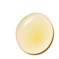Thumbnail for Certified Organic Rosehip Oil
