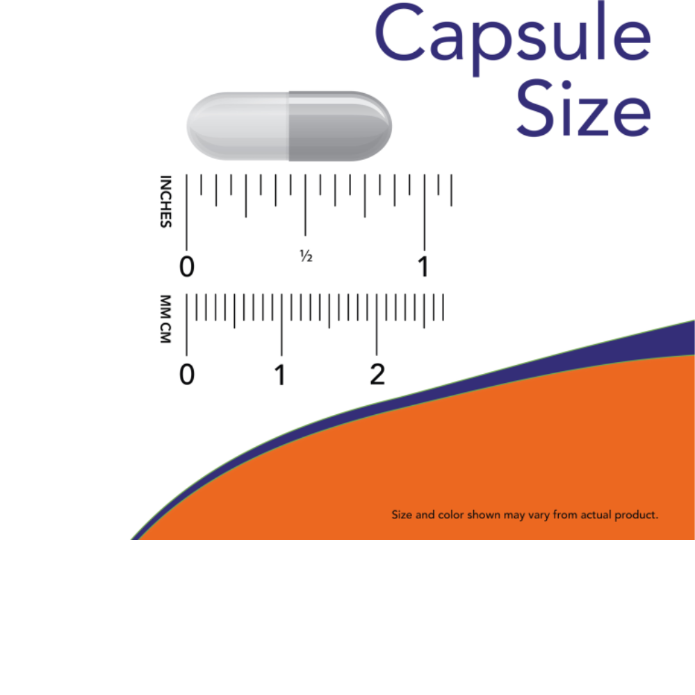 L-TYROSINE 500 MG CAPSULES